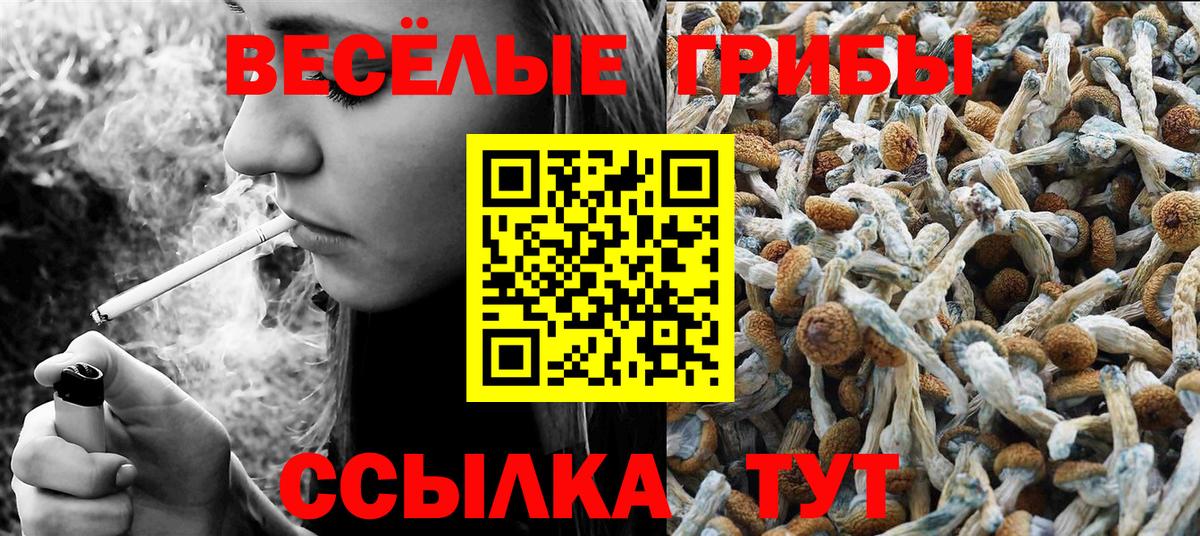 Галлюциногенные грибы мицелий Самара