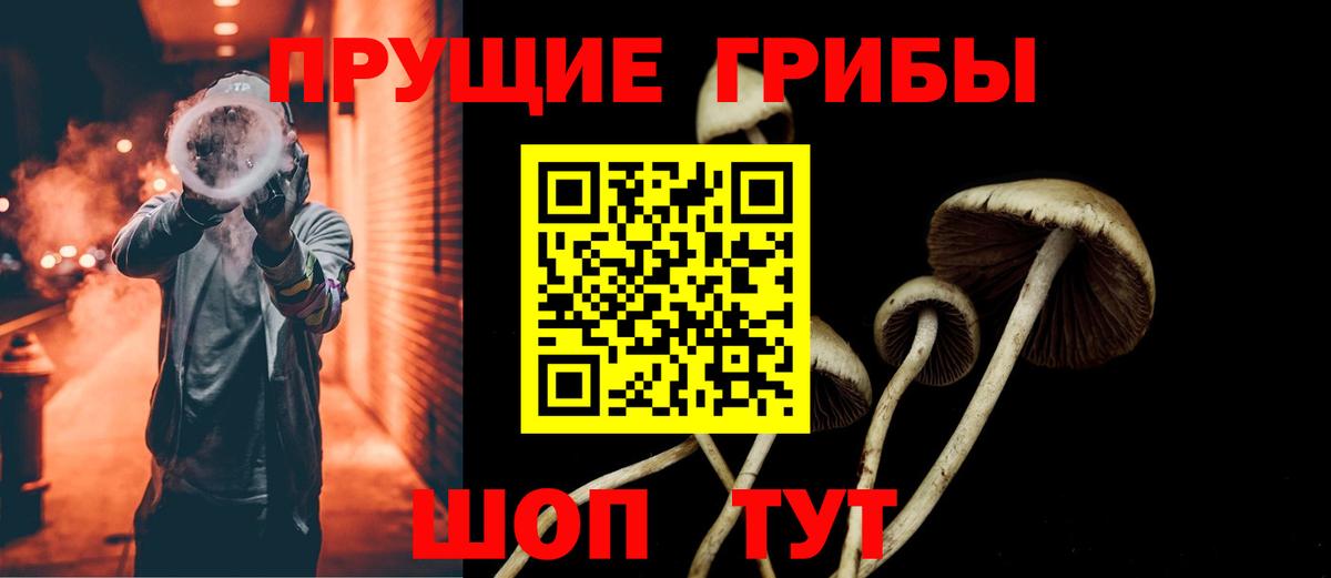 Псилоцибиновые грибы Magic Shrooms  Псилоцибиновые грибы мицелий  Самара  Вход с VPN 